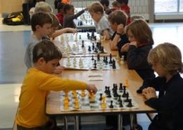 YEL chess programs.