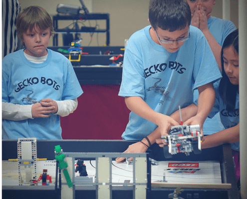 Gecko Bots FLL Team